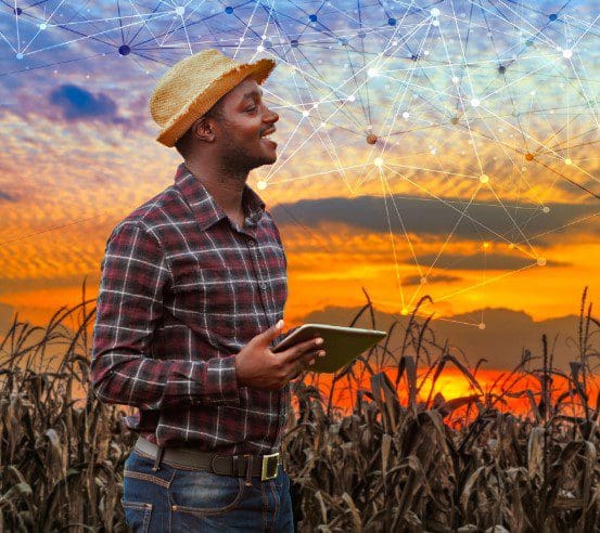 Man holding a tablet in a field with connections design in the sky